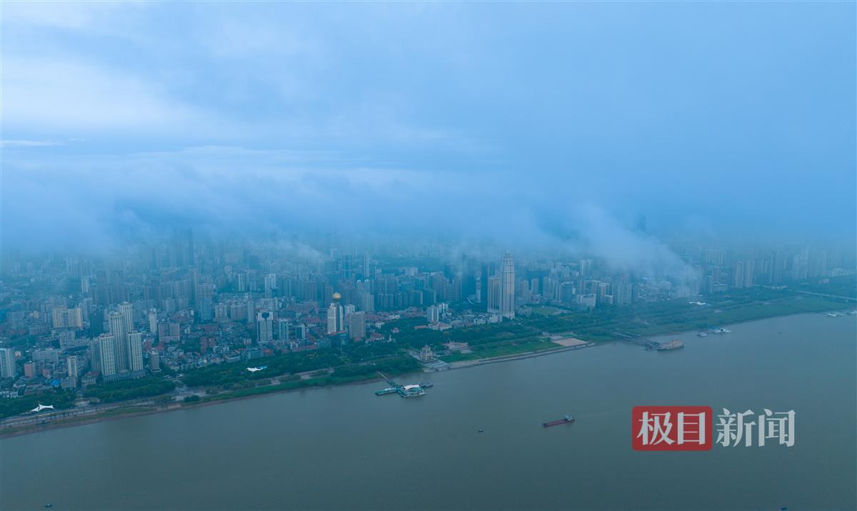 威利斯人官方网站